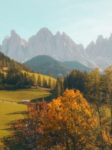 natures 02 225x300 1